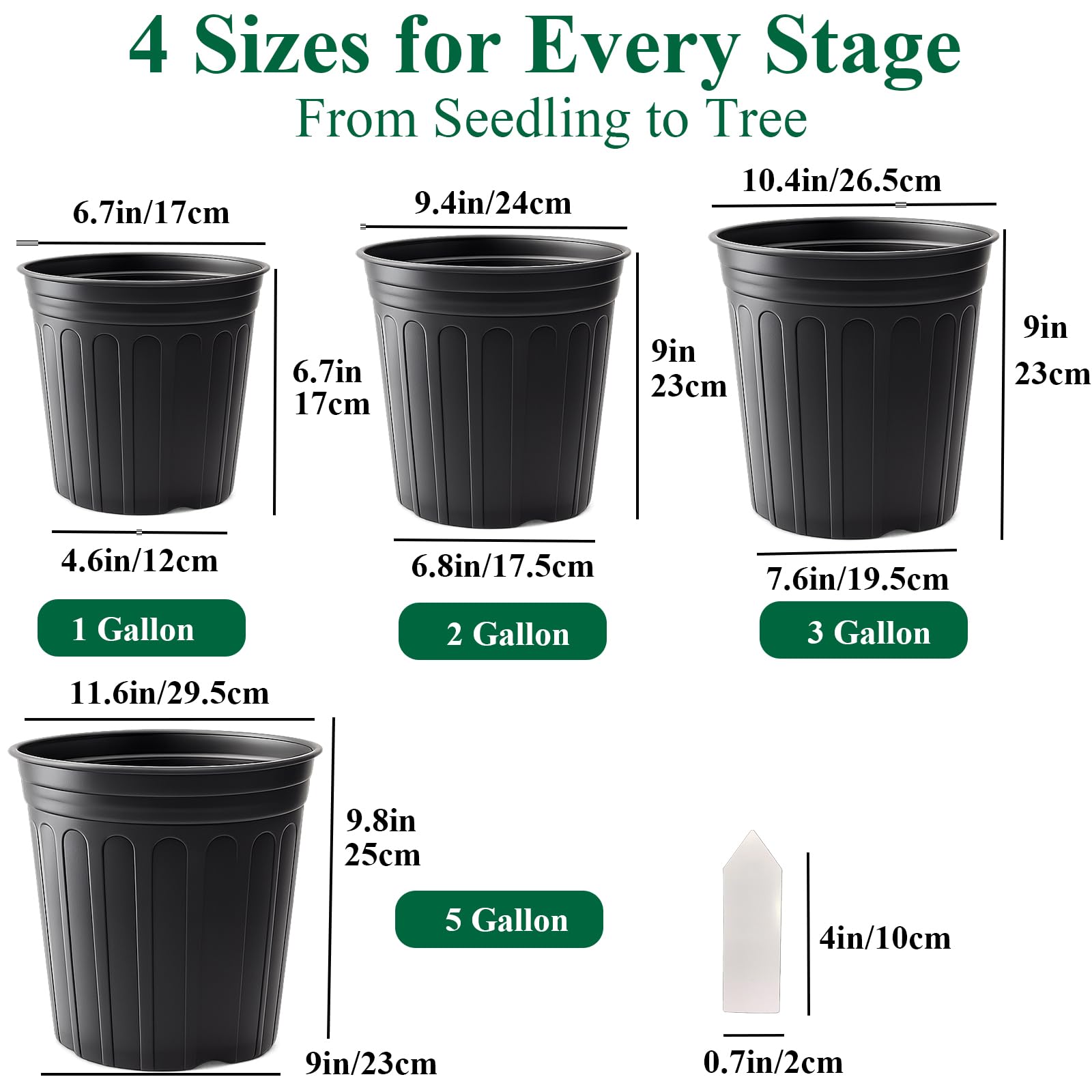 Tulpeed 3-gallon cylinder pot provides stable growth support.