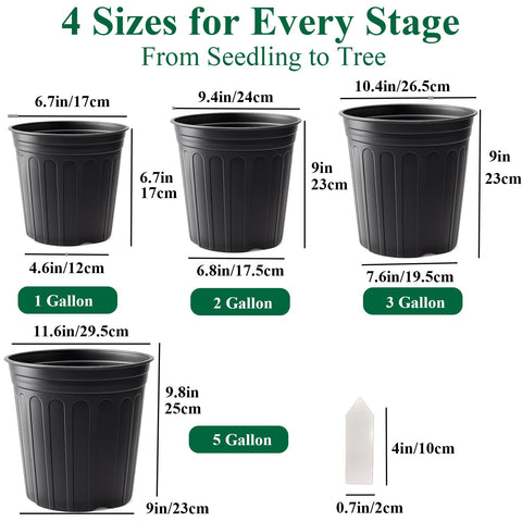 Tulpeed 3-gallon cylinder pot provides stable growth support.