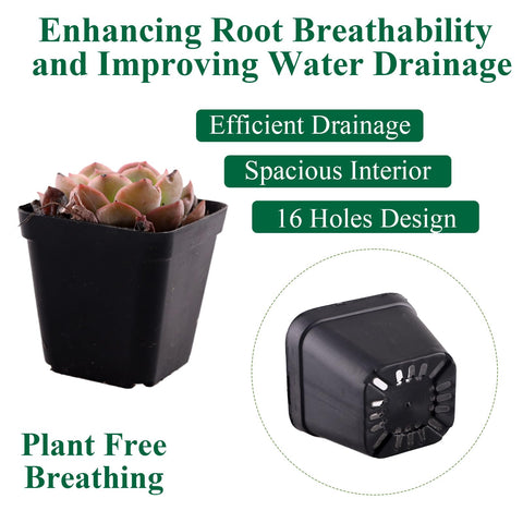 Tulpeed black plastic nursery pot shown as sturdy and reusable