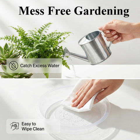 Tulpeed easy-clean saucers simplify maintenance after watering.