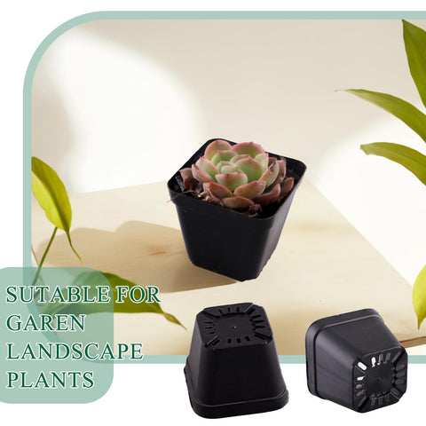 Tulpeed seed-starting pots ideal for green projects, malls displays, and nurseries.