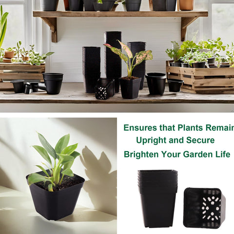 Tulpeed square planter pots ideal for indoor and outdoor greening projects and home gardens