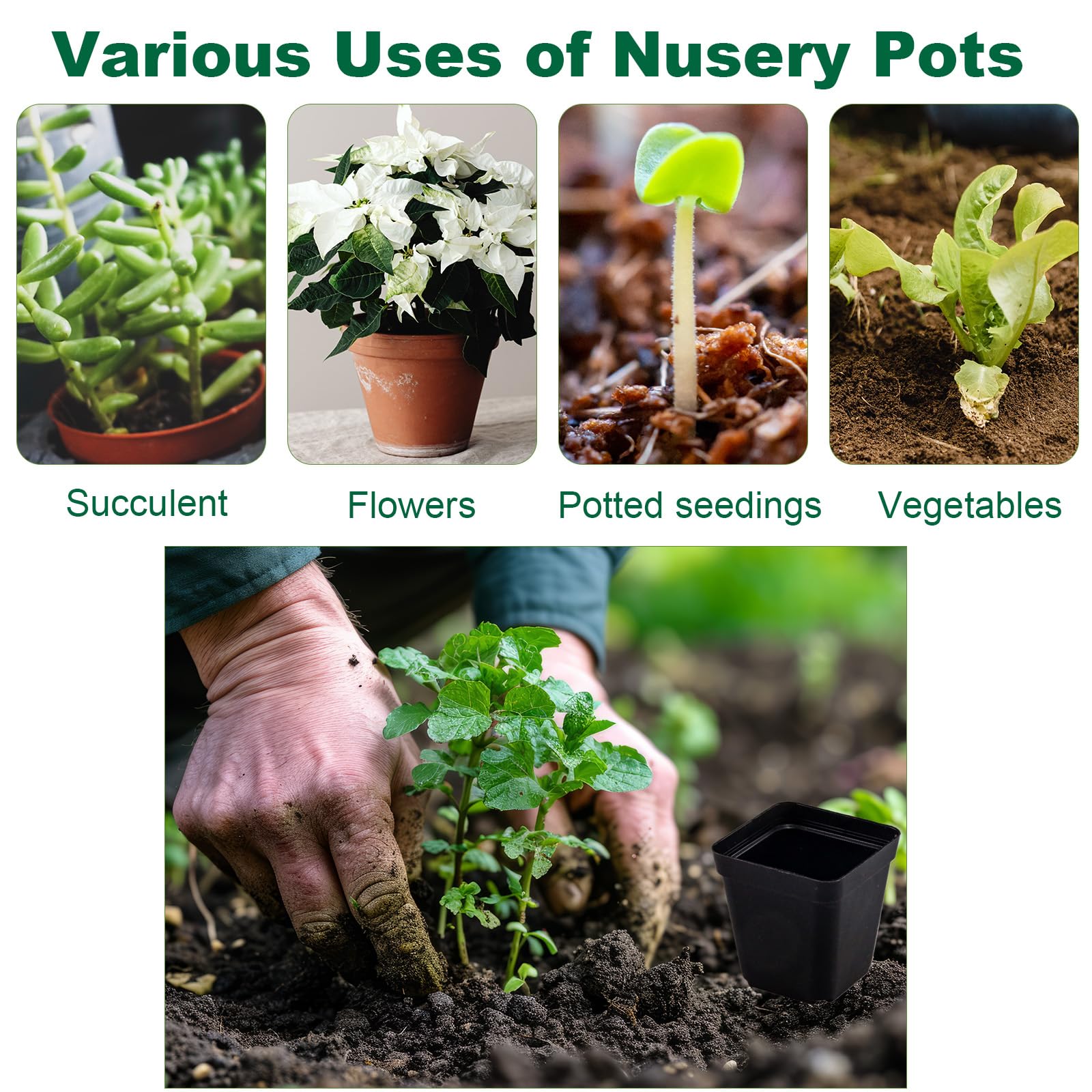 Tulpeed versatile nursery pots ideal for greening projects and displays