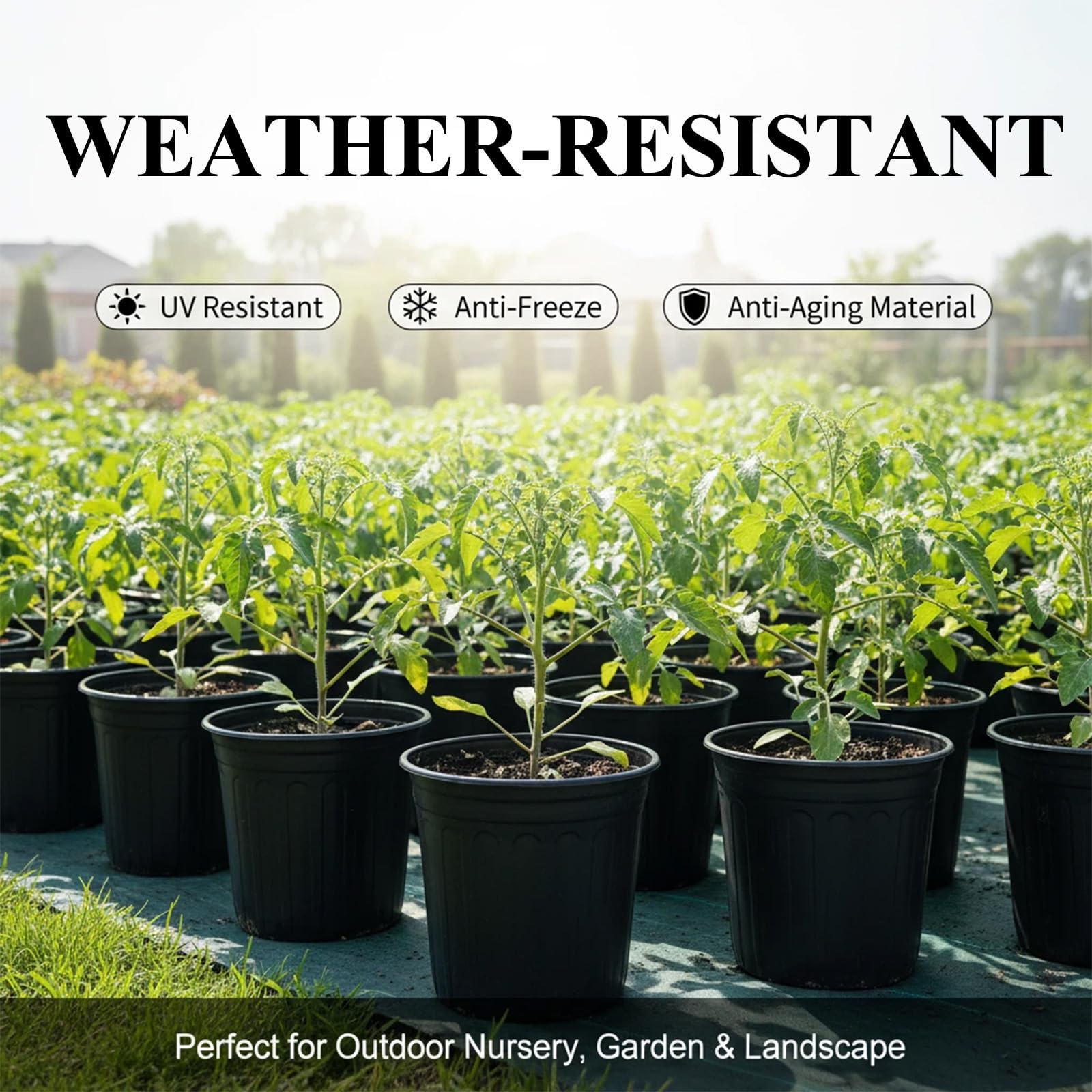 Tulpeed pots ideal for indoor outdoor setups with plant labels.