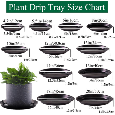 Tulpeed plant saucer 12-inch round black keeps pot area tidy