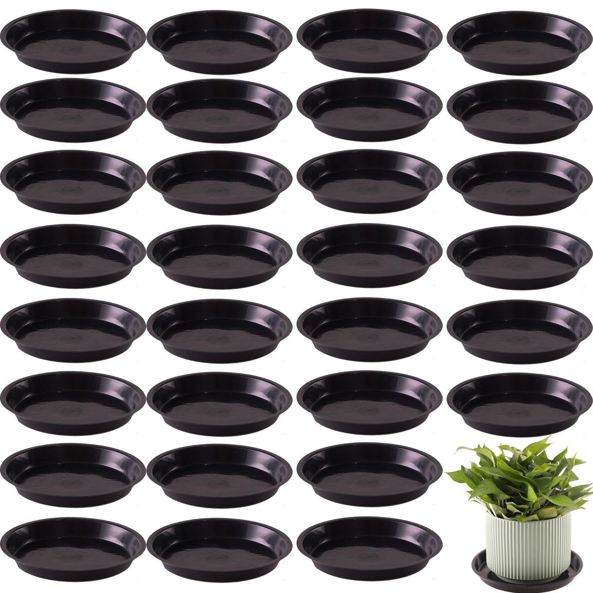 Tulpeed plant saucer 5-inch protects floors from drips and spills.