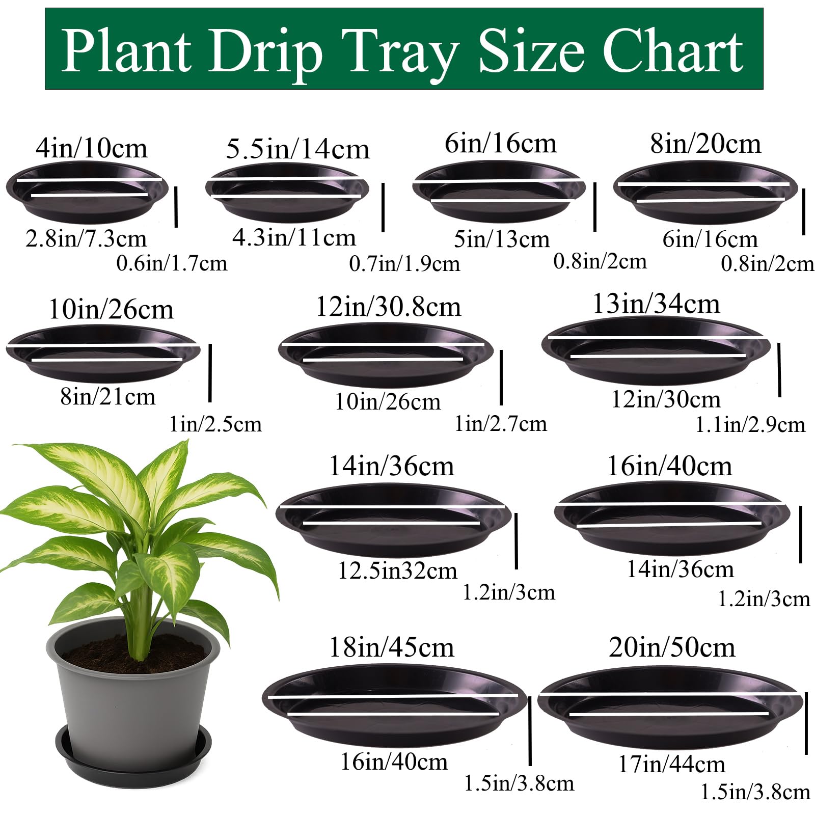 Tulpeed 6-inch saucer catches extra water for tidy indoor greenery.