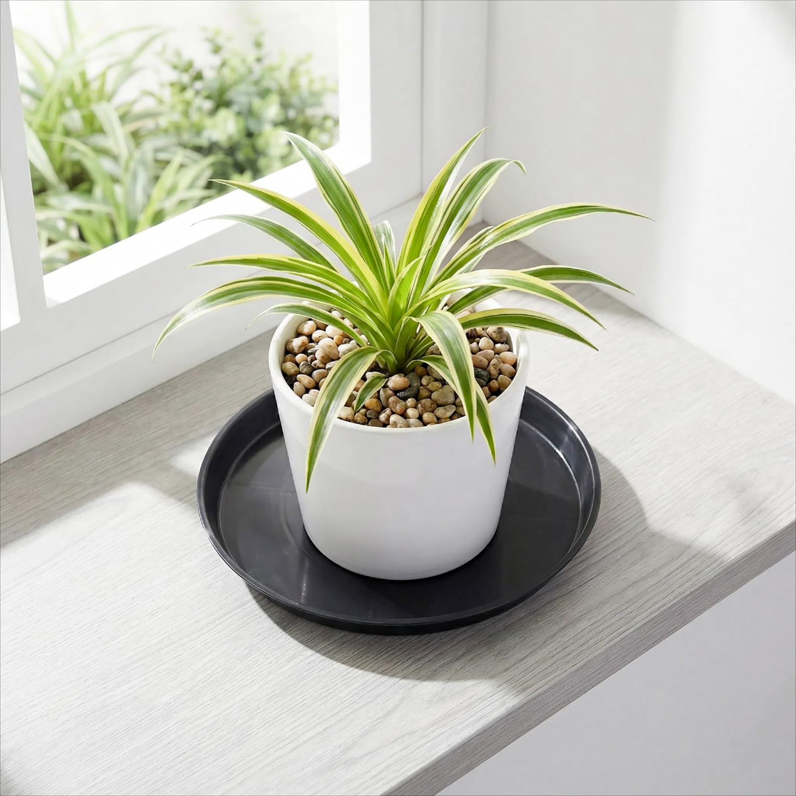 Tulpeed 8-inch round saucer supports medium pots with lightweight durability.