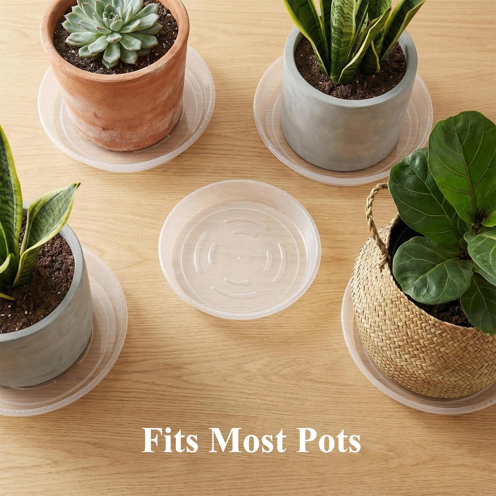 Tulpeed round white saucer on display highlights clean, minimalist touch for indoor decor