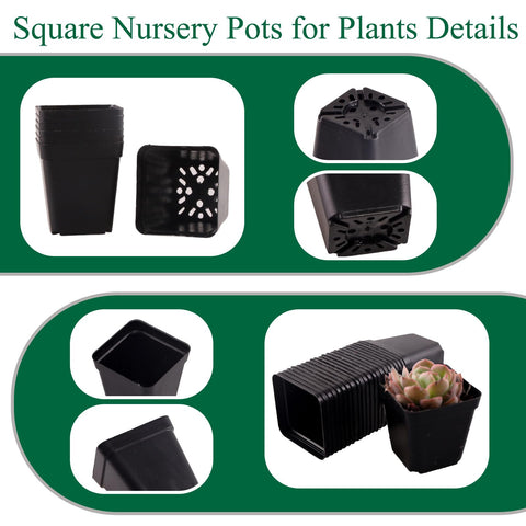 Tulpeed square pots with bottom drainage improve water management for seedlings.