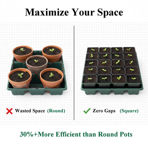 Tulpeed square design provides stable support for upright growth