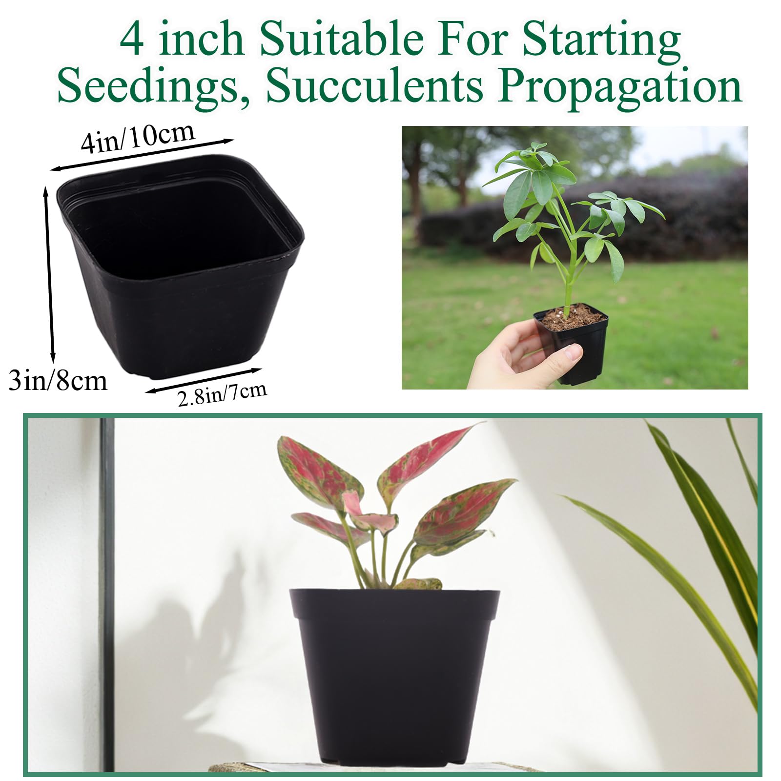 Tulpeed square 4-inch nursery pot shows stable design for young plants