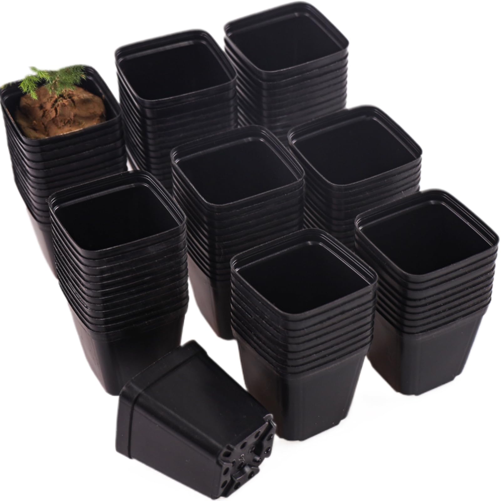 Tulpeed square 2.2 inch pot with drainage holes for healthy seedling start.