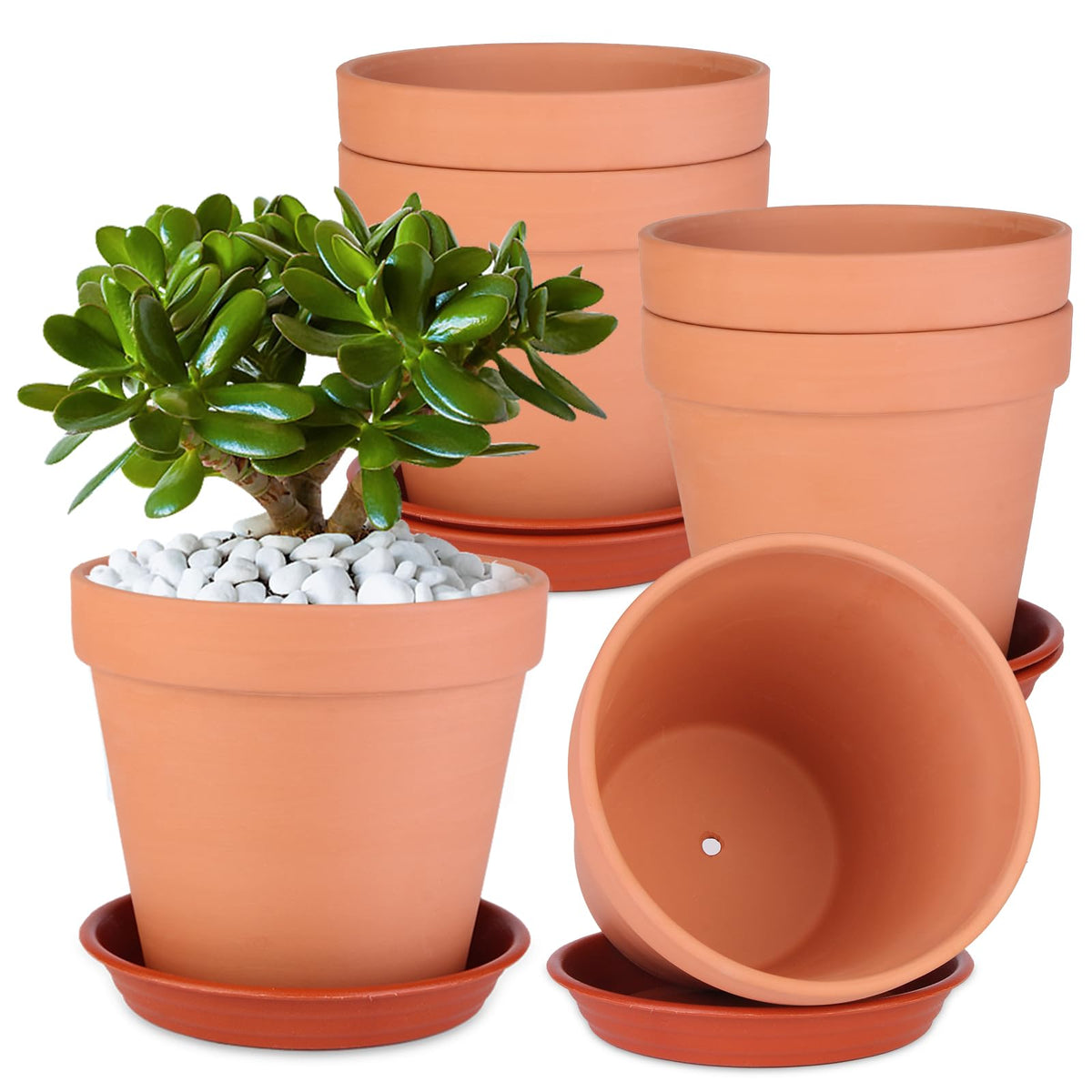 Tuqaumu 6-inch terracotta pot pack for versatile indoor and outdoor planting