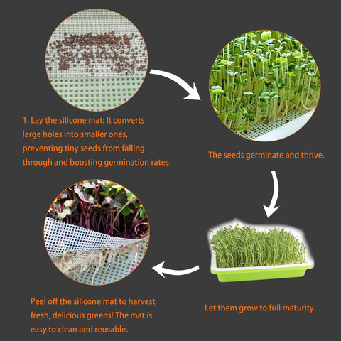 Tutuone reusable silicone seed sprouting mats are easy to rinse and reuse.