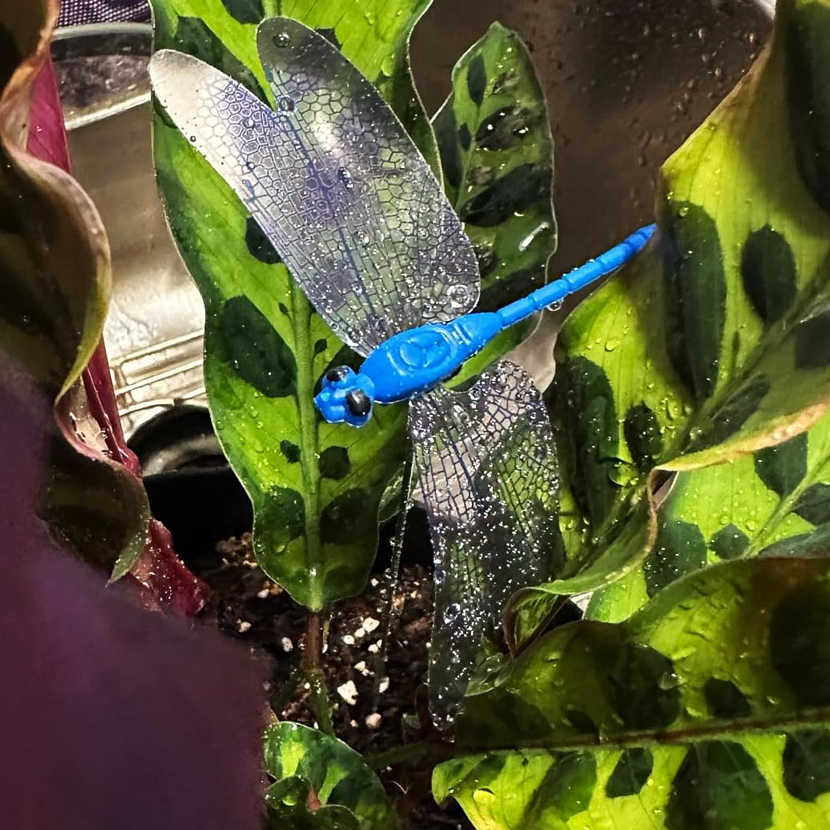 Tuxiaobu dragonfly ornaments suit flower pots for charming centerpiece displays