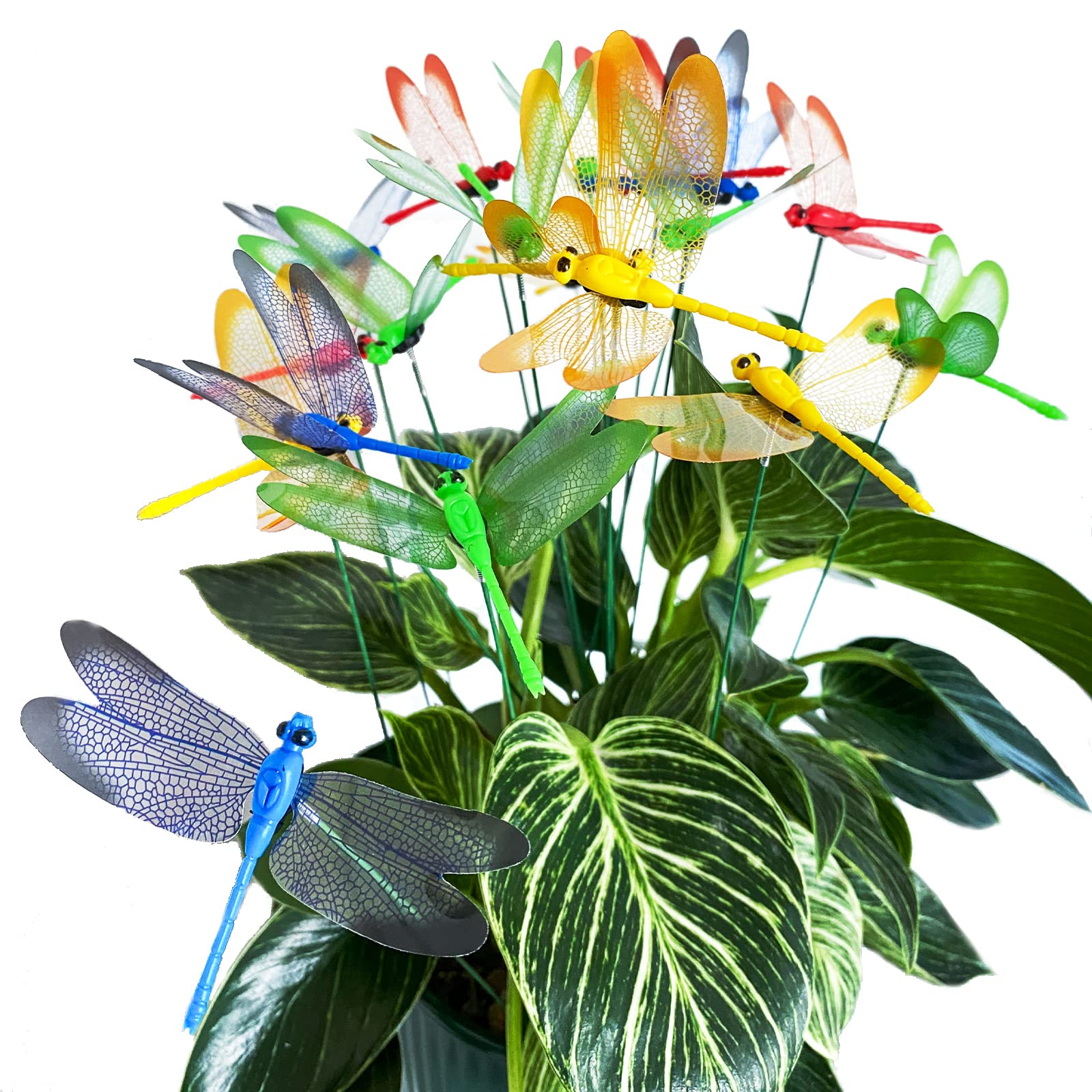 Tuxiaobu dragonfly stake spring-green post adds natural color to planters and vases