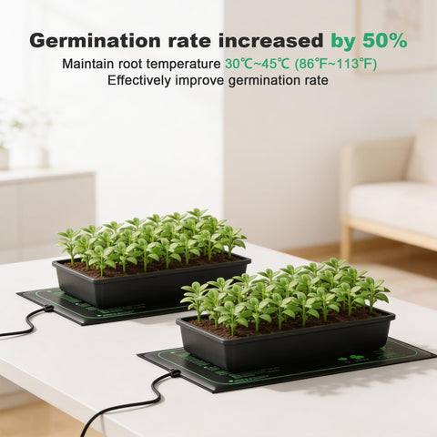 TVTUTPWY even-heating elements ensure uniform warmth across trays.