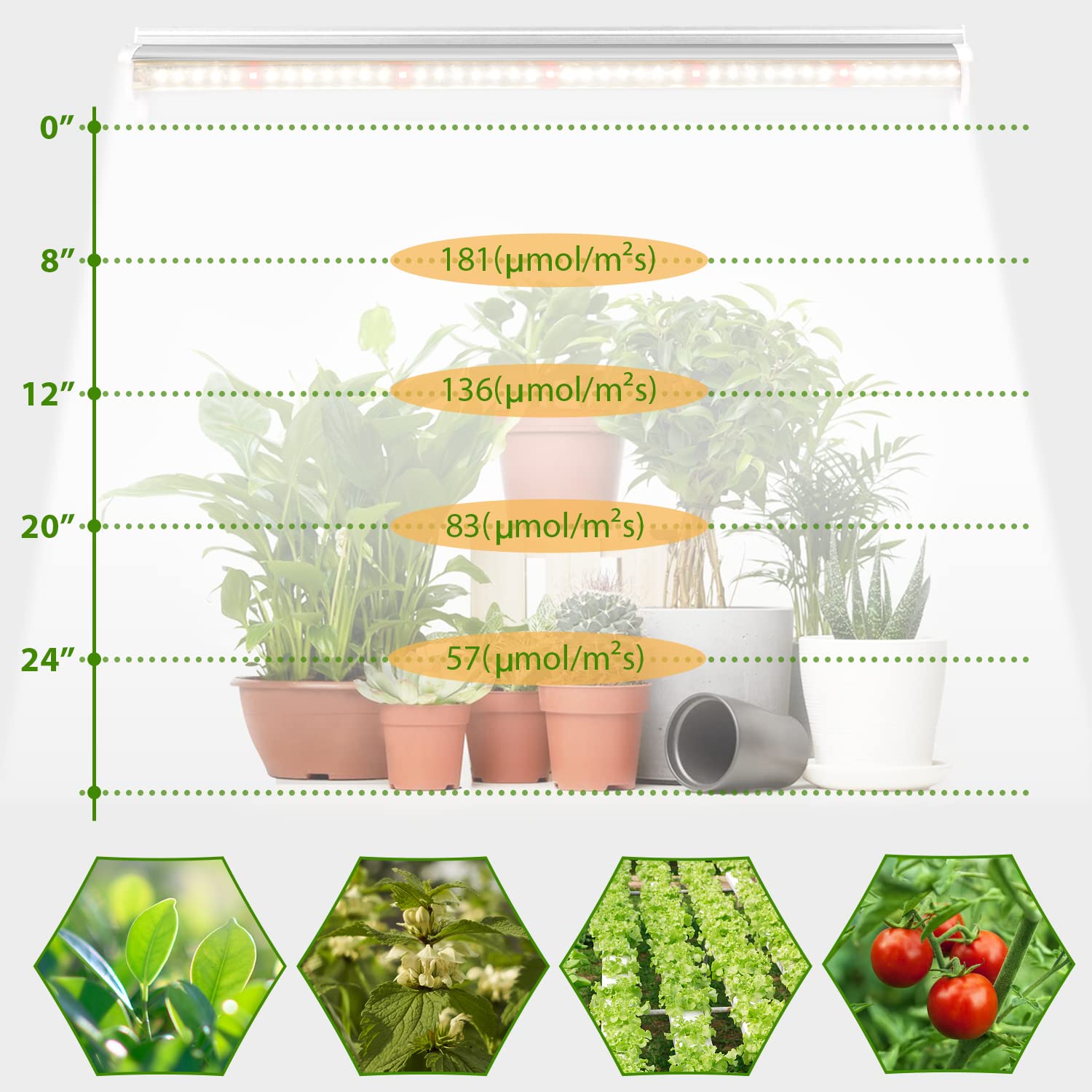 TVTUTPWY Grow Light T5 1.4ft easy installation with clips and ties.