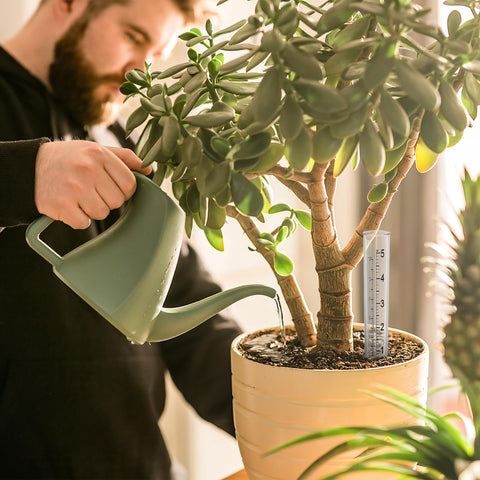 Tweruna pink-brush cleaning-tool supports clear readings after rain.