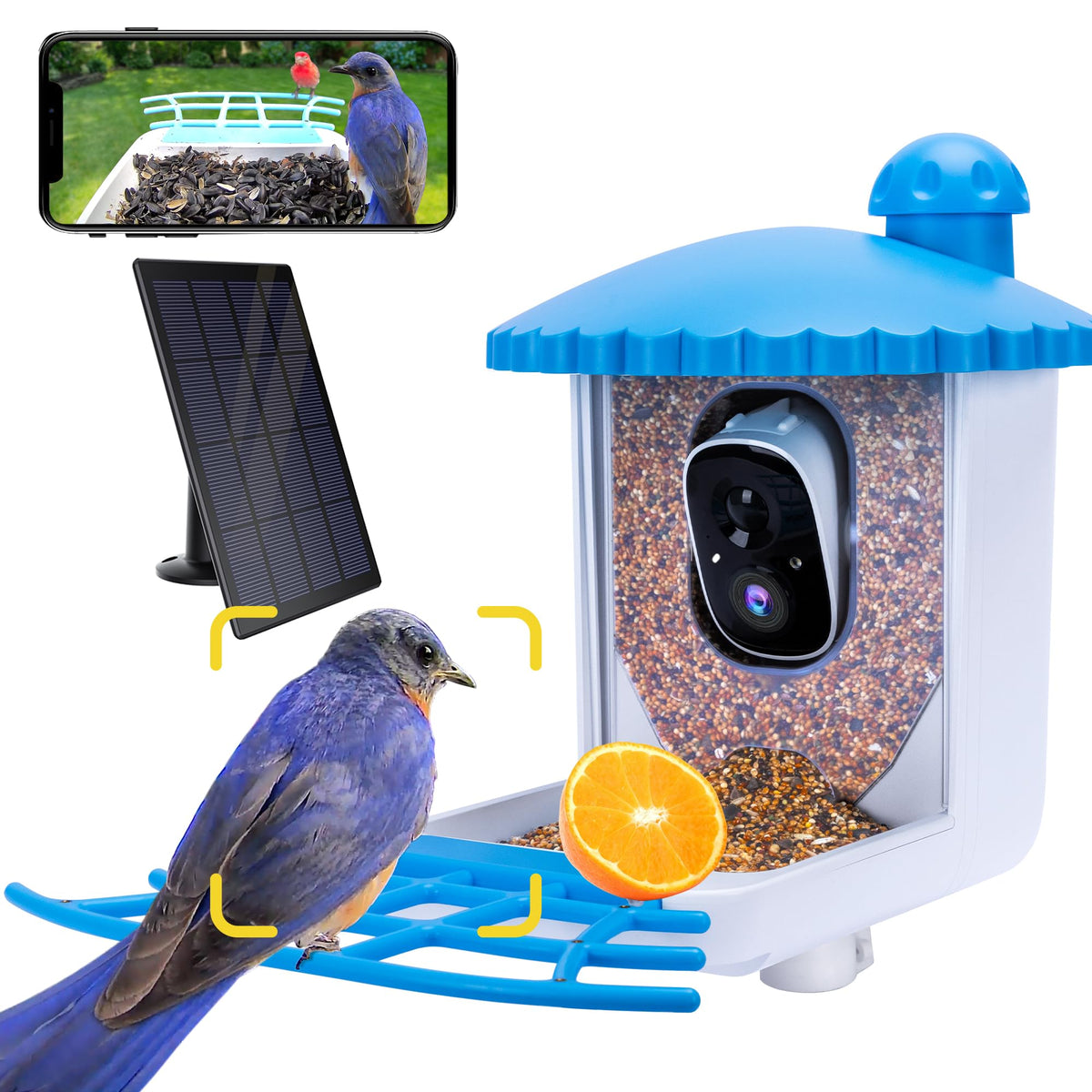 Twesync bird feeder camera 2K HD captures birds clearly day and night