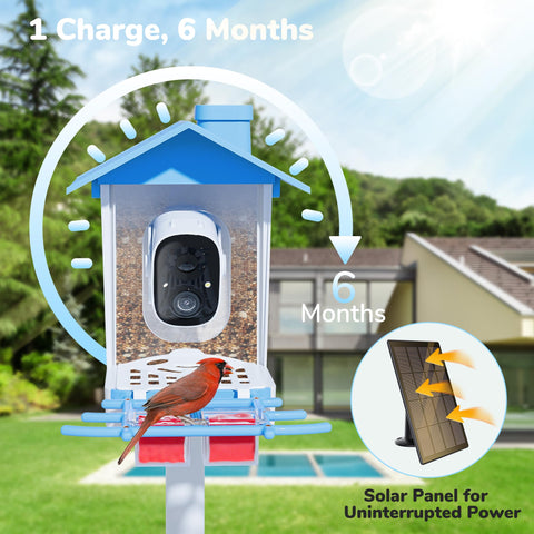 Twesync Night Vision feed captures birds at dusk with clear colors
