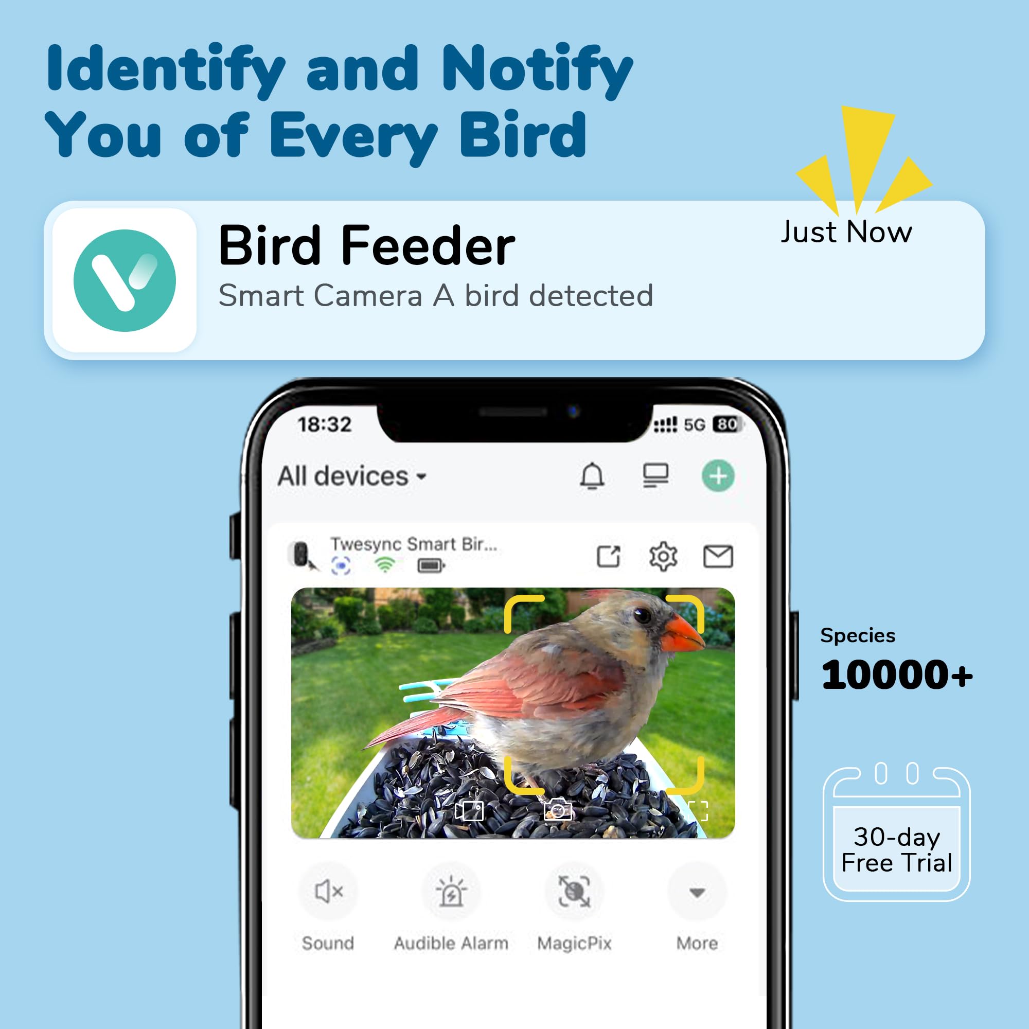 Twesync bird feeder night vision reveals nocturnal visitors clearly