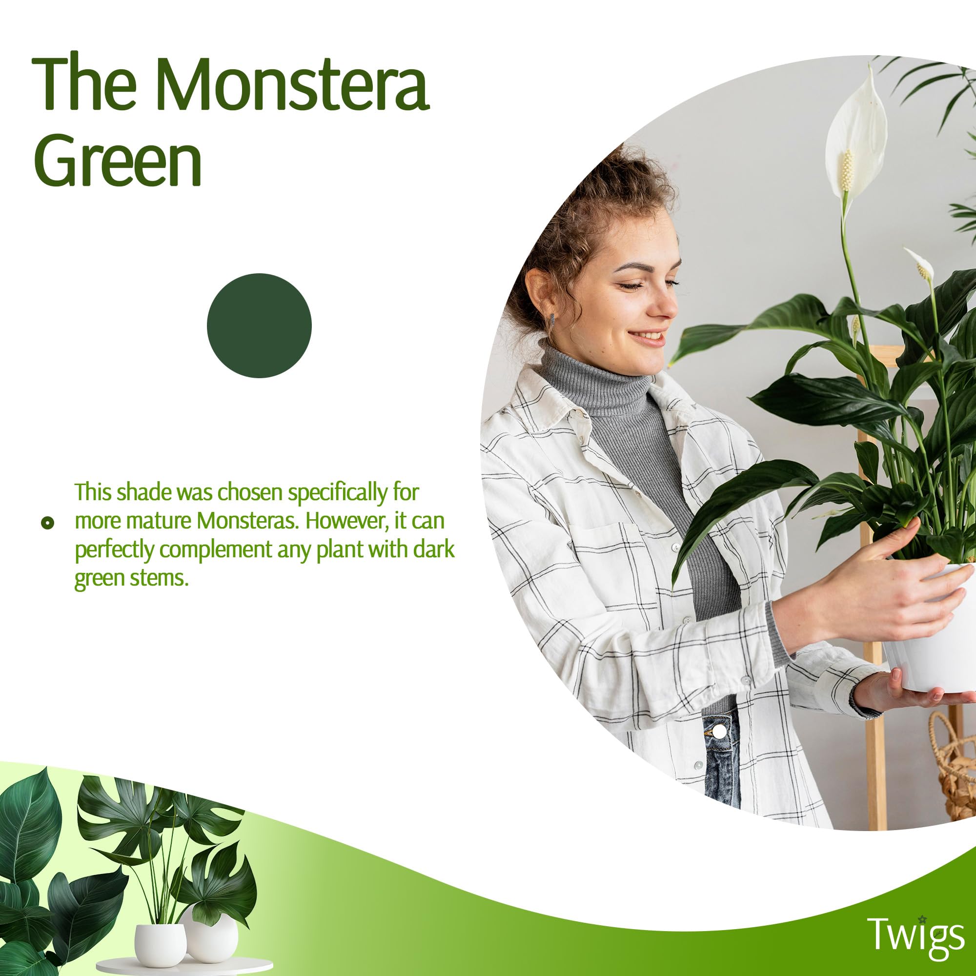 Twigs GA made in the USA, a reliable plant support.