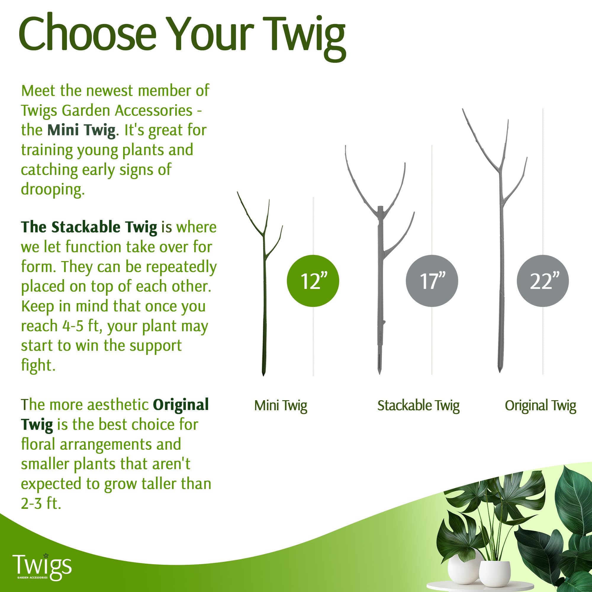 Twigs GA Mini Twigs stake helps vines stay upright.