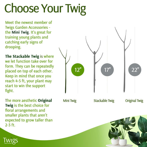 Twigs GA Mini Twigs stake helps vines stay upright.