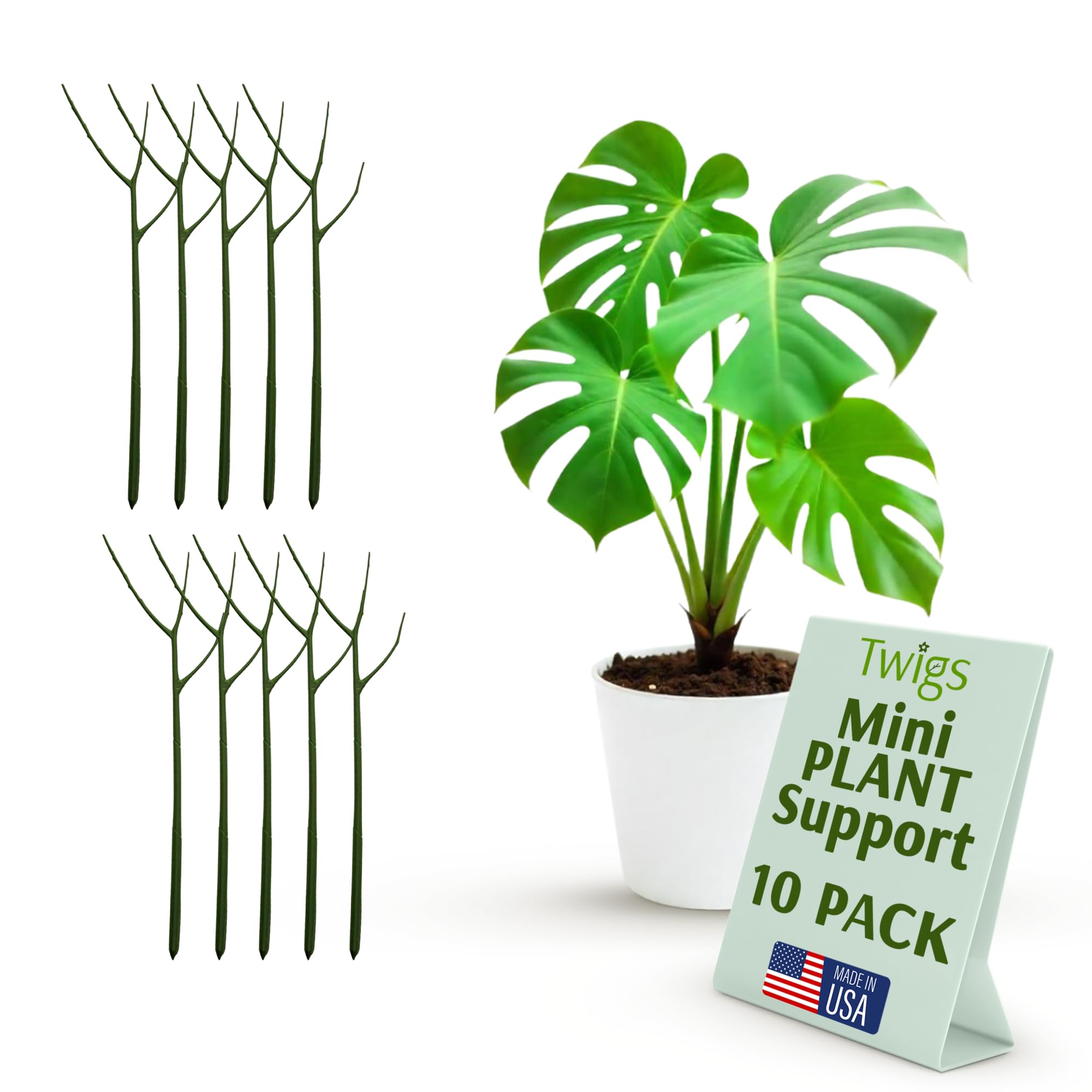 Twigs GA Mini Twigs stake in soil provides discreet support for small plants.