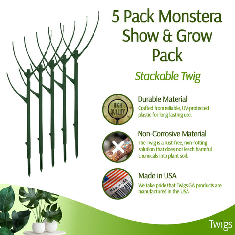 Twigs GA stackable monstera stake demonstrates height extension for growing Monstera.