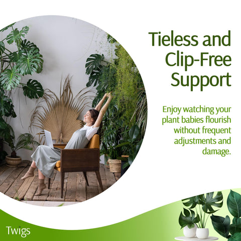 Twigs GA stake used indoors or outdoors for versatile climbing support.