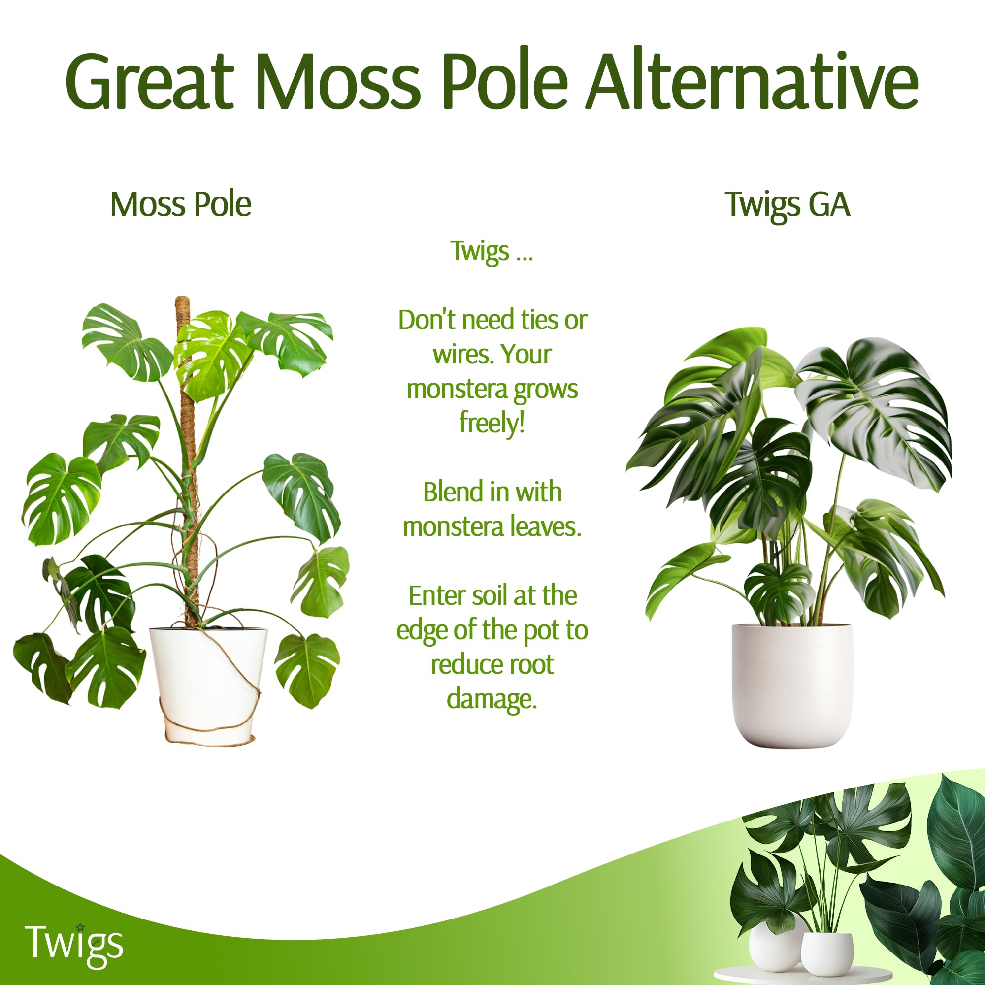 Twigs GA stake in a tidy pot offers low-maintenance plant support.
