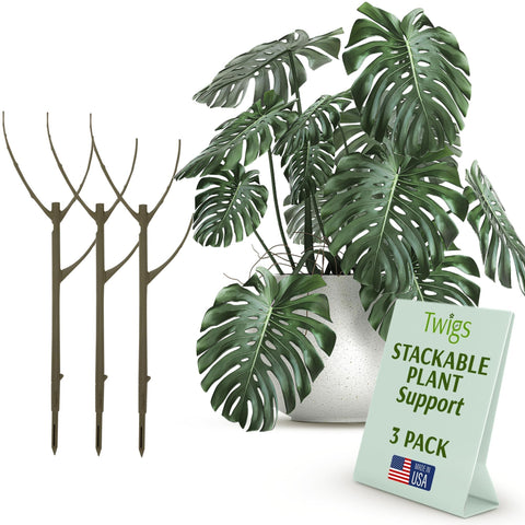 Twigs GA stackable stake assembly supports elegant vertical growth for plants.
