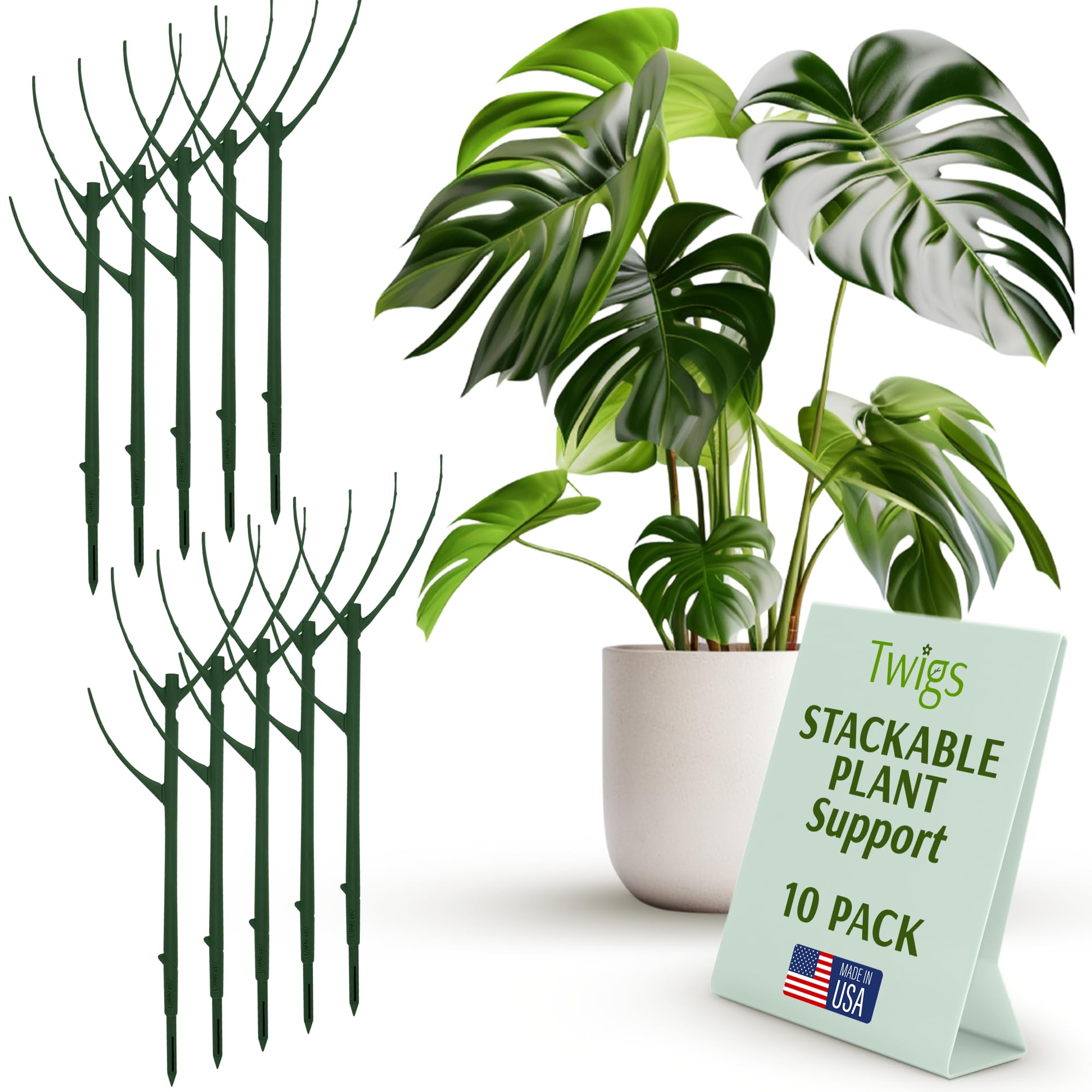Twigs GA stackable stake supports a Monstera upright for healthy growth.