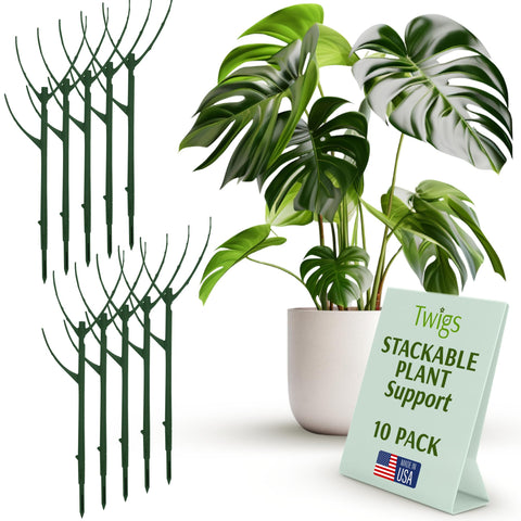 Twigs GA stackable stake supports a Monstera upright for healthy growth.