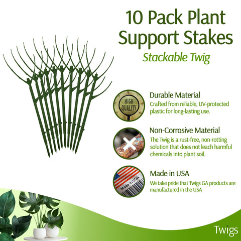 Twigs GA stake used in a potted plant setup to guide vines.