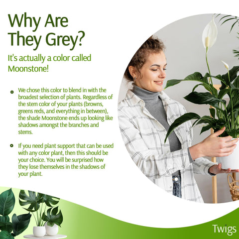 Twigs GA sturdy vertical support helps secure leaning stems.