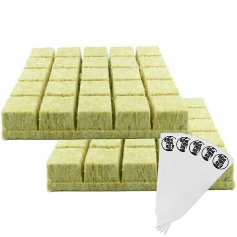 Twin Canaries rockwool starter plugs closeup for fast seedling initiation