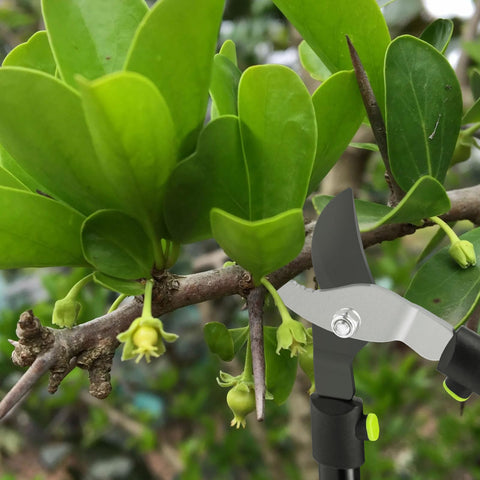 Twocorn durable garden tool built to last through frequent pruning tasks.