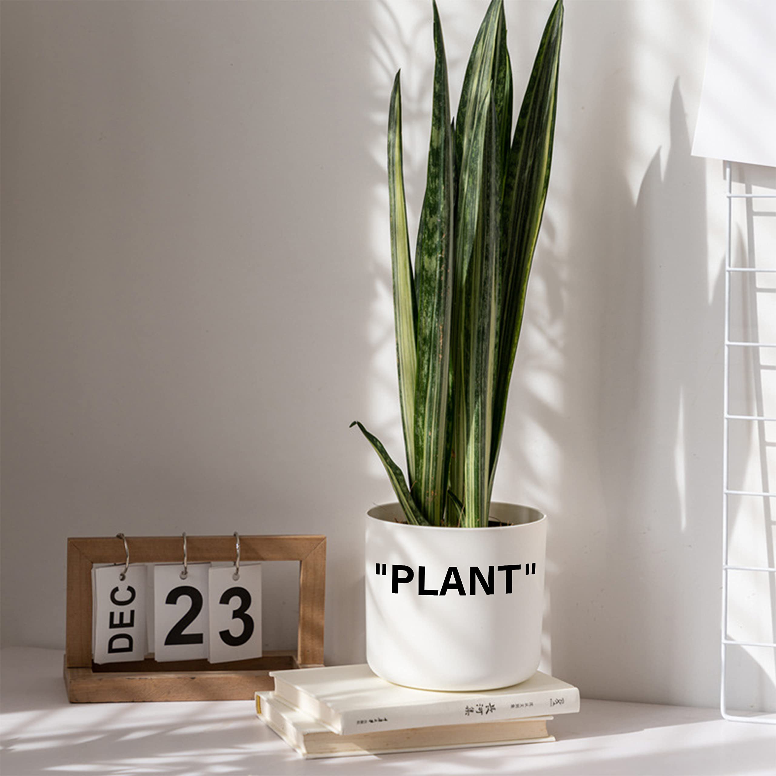 TwoDays Off-White sneaker planter on desk with small plant for decor