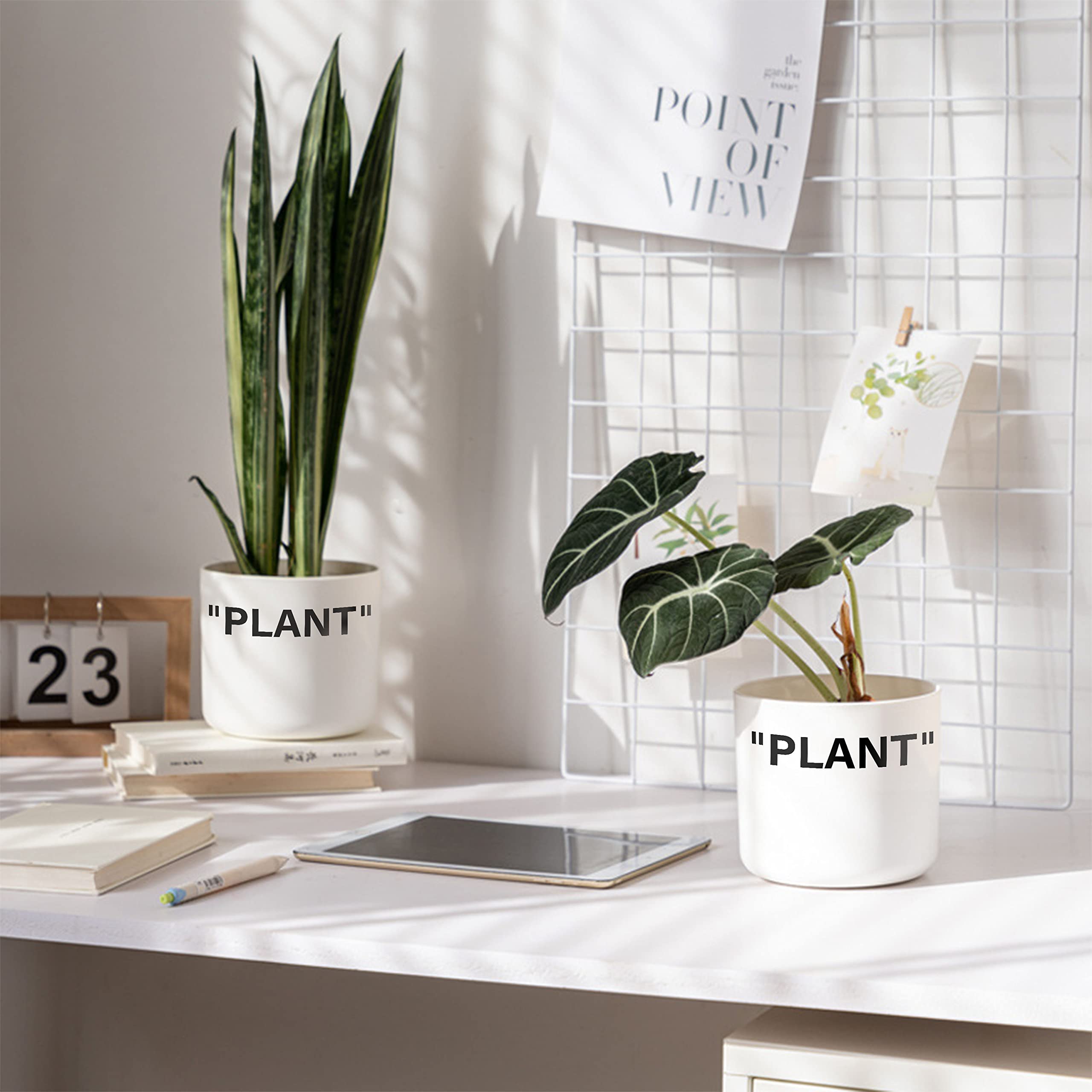 TwoDays Off-White sneaker planter side view highlighting sleek cylindrical form