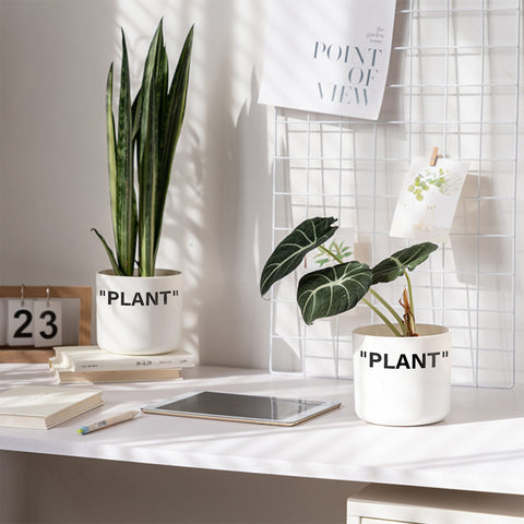 TwoDays Off-White sneaker planter side view highlighting sleek cylindrical form