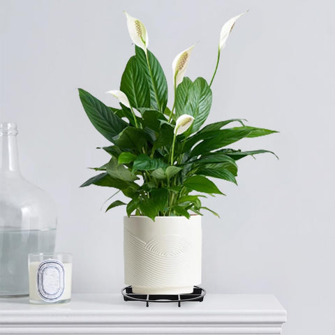 TWZKXC easy-to-use stand helps prevent water buildup around pots