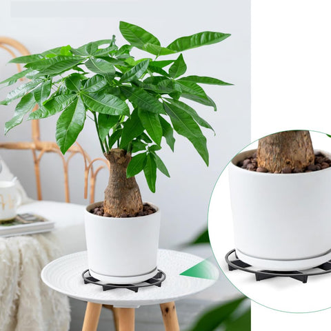 TWZKXC pot on rack stand demonstrates enhanced water drainage