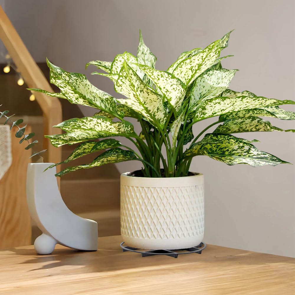 TWZKXC suitable for indoor and outdoor gardens, balconies, and kitchens