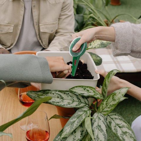 TXIN compact-design seed planter ideal for balcony gardening and quick refilling.