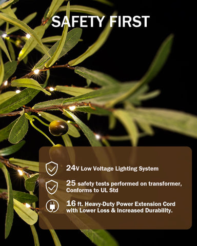 TYBEEU four-level dimming to set the perfect mood.