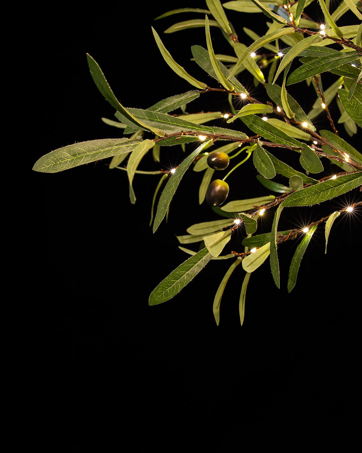 TYBEEU warm-white LEDs close-up for cozy glow on leaves.